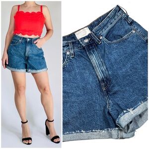 Everlane Womans Shorts Blue Organic Cotton A-Line Denim Shorts 28